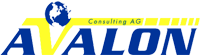 Netzwerk Partner Avalon Consulting